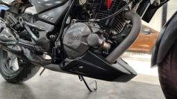 HERO HUNK 190R lleno