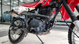MOTOMEL SKUA 125 X-TREME lleno